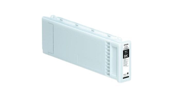 Epson UltraChrome DG T72510N Cyan цена и информация | Tindiprinteri kassetid | kaup24.ee