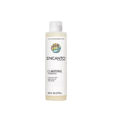 Encanto puhastav šampoon, 200 ml hind ja info | Šampoonid | kaup24.ee