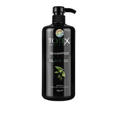 Totex Olive Oil kuivade juuste šampoon, 750ml цена и информация | Шампуни | kaup24.ee