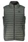 Gian Marco Venturi vest meestele AU01522CONEY, roheline цена и информация | Meeste vestid | kaup24.ee