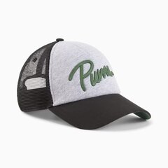 Puma мужская кепка 025120*01, черный/серый 4099685694624 цена и информация | Мужские шарфы, шапки, перчатки | kaup24.ee