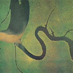 Виниловая пластинка LP Dead Can Dance - The Serpent's Egg цена и информация | Виниловые пластинки, CD, DVD | kaup24.ee