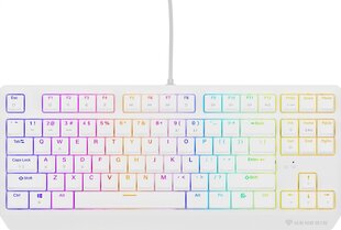 Natec Thor 230 TKL RGB Outemu Brown (NKG-2080) цена и информация | Клавиатуры | kaup24.ee