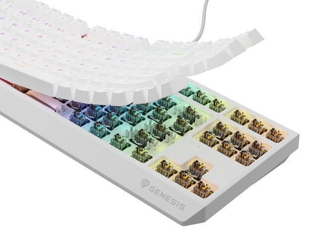 Natec Thor 230 TKL RGB Outemu Brown (NKG-2080) цена и информация | Klaviatuurid | kaup24.ee