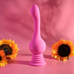 Вибратор Evolved Gyro Vibe Vibrator цена и информация | Вибраторы | kaup24.ee