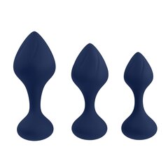 Anaaltappide komplekt Playboy Tail Trainer Anal Training Set, 3 osa цена и информация | Анальные игрушки | kaup24.ee