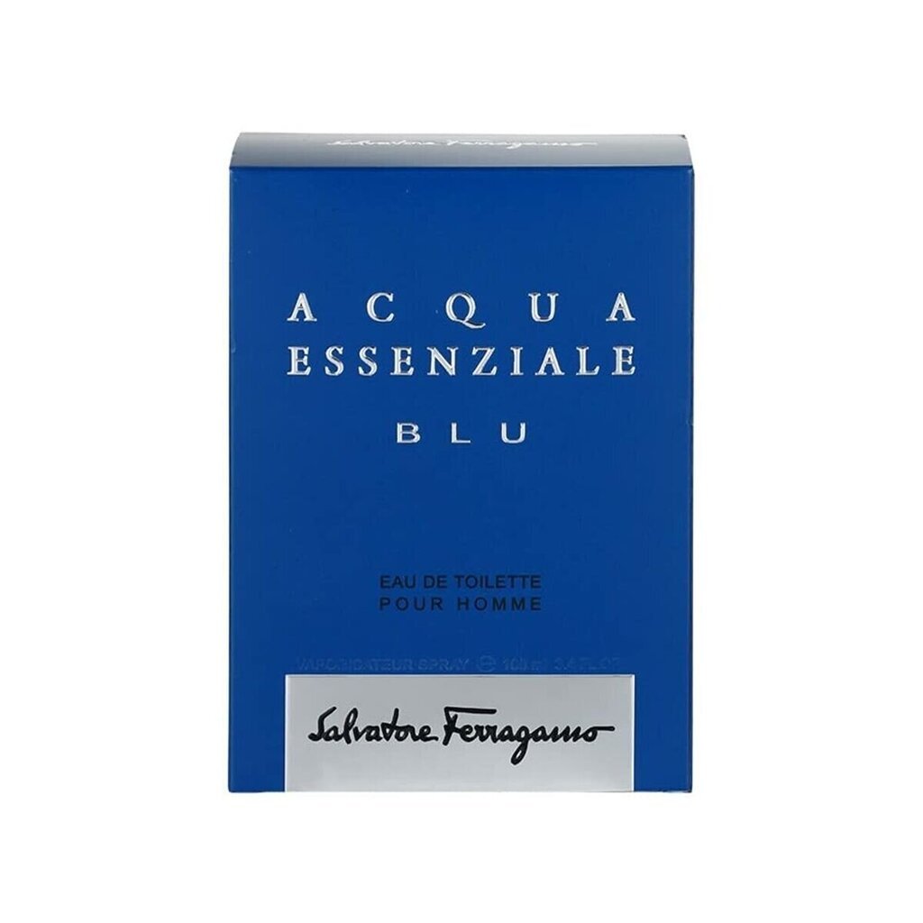 Туалетная вода для мужчин Salvatore Ferragamo Blue Essential EDT, 100 мл  цена | kaup24.ee