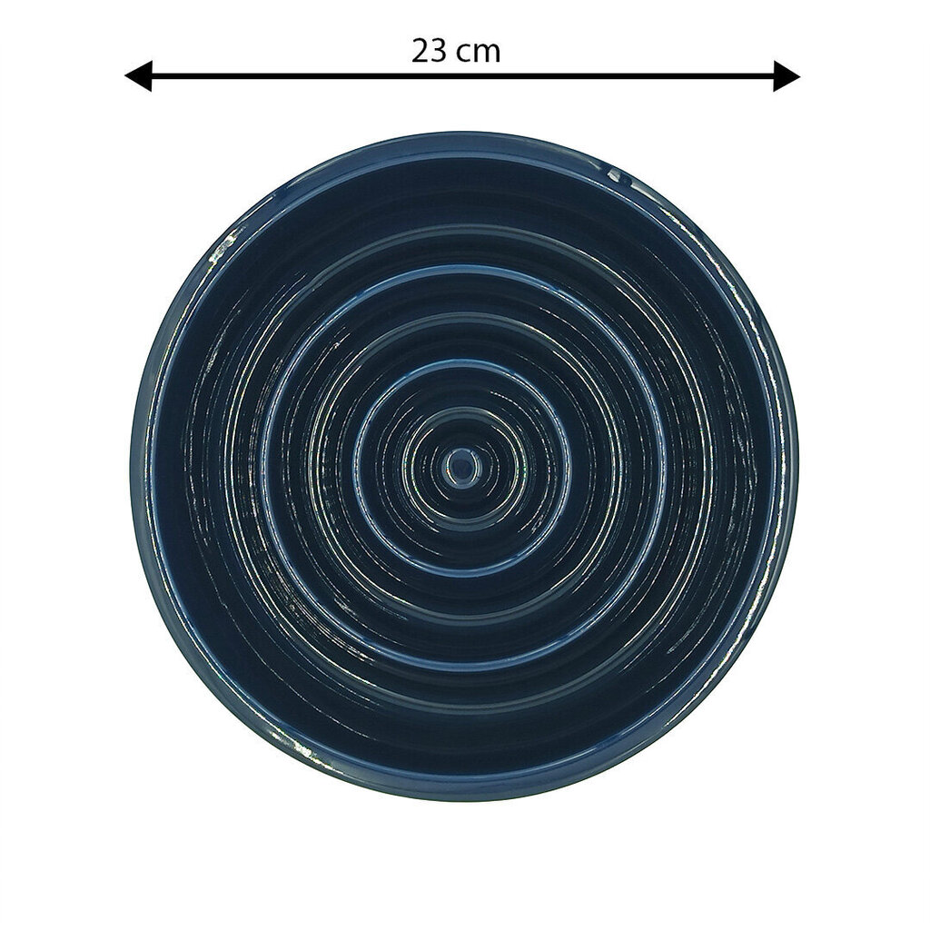 Lemmiklooma aeglase söömise sööginõu Tailium, suurus L, sinine hind ja info | Toidukausid loomadele | kaup24.ee
