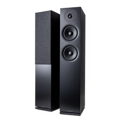 Argon Forus55 hind ja info | Koduaudio ja "Soundbar" süsteemid | kaup24.ee