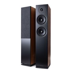 Argon Forus55 hind ja info | Koduaudio ja 