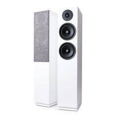 Argon Forus55 hind ja info | Koduaudio ja "Soundbar" süsteemid | kaup24.ee