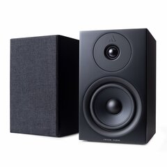 Argon Forus5 hind ja info | Koduaudio ja 