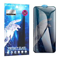 Закаленное стекло Borofone BF7 Diamond Armor полноэкранный анти шпион для iPhone 15, 10 шт. цена и информация | Защитные пленки для телефонов | kaup24.ee