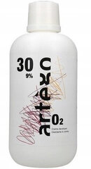 Artego Developer oksüdeerija 30Vol 9%, 1000ml цена и информация | Краска для волос | kaup24.ee