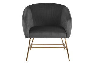 Кресло Ramsey, серое цена и информация | Кресла в гостиную | kaup24.ee