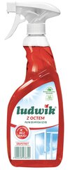 Aknapesuvahend Ludwik Greip, 600ml цена и информация | Очистители | kaup24.ee