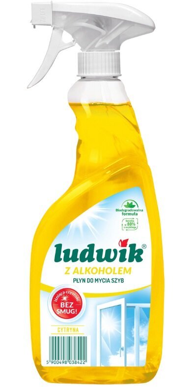 Aknapesuvahend Ludwik Lemon, 600ml hind ja info | Puhastusvahendid | kaup24.ee