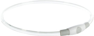 Vilkur-kaelarihm Flash Light ring USB, SM: 40 cm/d 8 mm, mitmevärviline hind ja info | Kaelarihmad ja traksid koertele | kaup24.ee