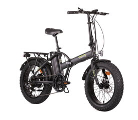 Электрический велосипед Denver Orus E 2500 20", черный цена и информация | Электровелосипеды | kaup24.ee