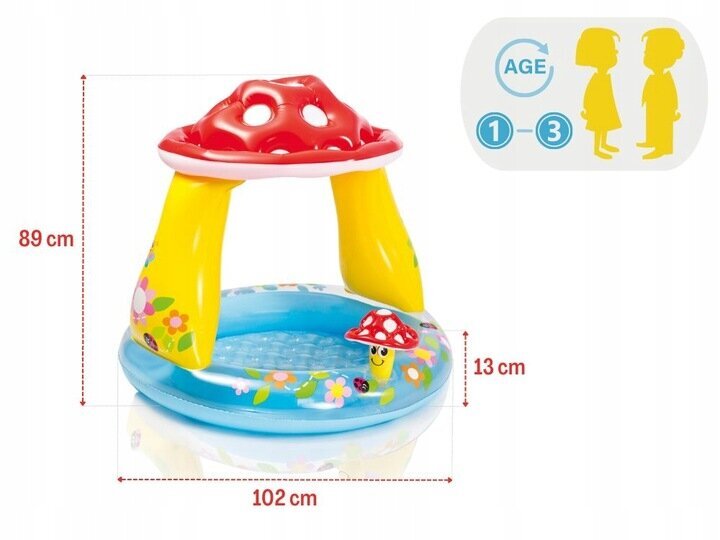Täispuhutav ümmargune bassein lastele Intex, 102 x 102 cm hind ja info | Basseinid | kaup24.ee