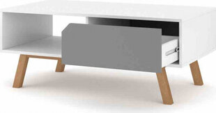 Кофейный столик Hakano, серый / белый цвет цена и информация | Журнальные столики | kaup24.ee