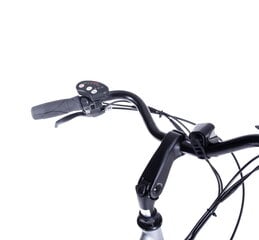 Elektriline jalgratas Denver E4300 26", hall цена и информация | Электровелосипеды | kaup24.ee