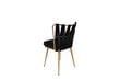 2-tooli komplekt Kalune Design Kusakli 211 V2, must hind ja info | Söögitoolid, baaritoolid | kaup24.ee