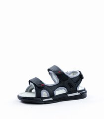 Clibee sandaalid poistele 443070 01, must hind ja info | Laste sandaalid | kaup24.ee