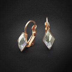 Серьги Кристальный Ромб IV с кристаллами Swarovski™ цена и информация | Серьги | kaup24.ee