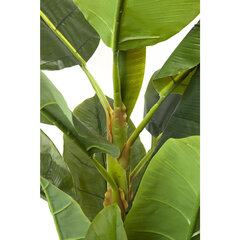Декоративное растение Banana Tree цена и информация | Искусственные цветы | kaup24.ee