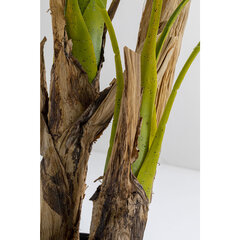 Декоративное растение Palm Tree, 190 см цена и информация | Искусственные цветы | kaup24.ee