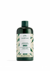 Kõõmavastane palsam The Body Shop Ginger, 400 ml hind ja info | Juuksepalsamid | kaup24.ee