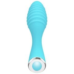 Little Dipper vibraator, sinine hind ja info | Vibraatorid | kaup24.ee