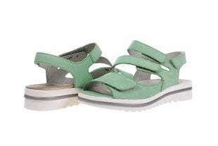 Naiste kingad Waldlaufer 30715, rohelised hind ja info | Naiste sandaalid | kaup24.ee