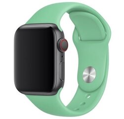 Силиконовый ремешок Apple Watch 38/40/41 (S/M) - Spearmint цена и информация | Смарттехника и аксессуары | kaup24.ee