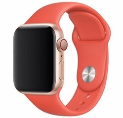 Apple Watch Silikoon Rihm 38/40/41 (M/L), Nectarine цена и информация | Смарттехника и аксессуары | kaup24.ee