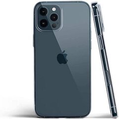 Силиконовый чехол для iPhone 13Pro цена и информация | Чехлы для телефонов | kaup24.ee