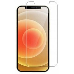 iPhone 12/12Pro hind ja info | Ekraani kaitsekiled | kaup24.ee