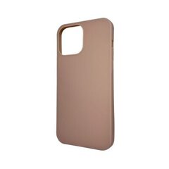 Smartplace iPhone 12 Pro Max цена и информация | Чехлы для телефонов | kaup24.ee