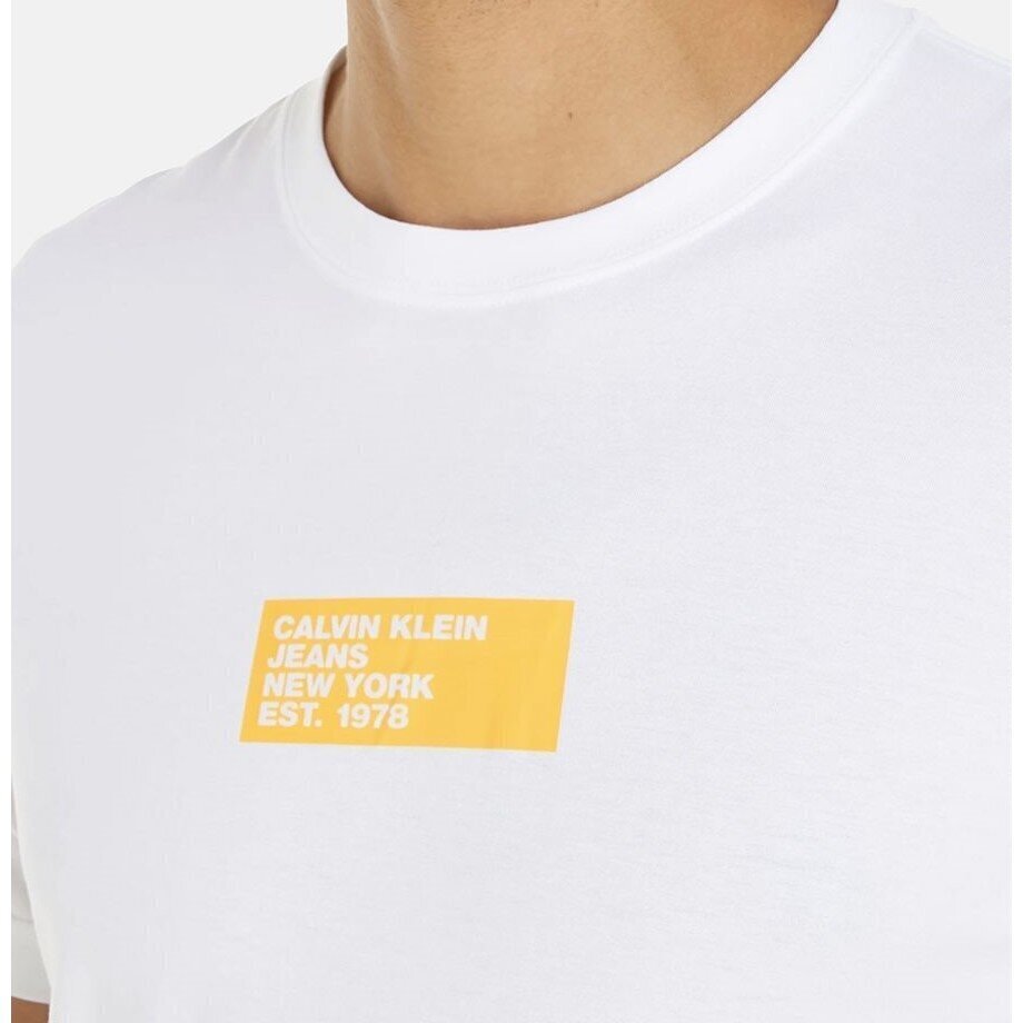 Calvin Klein Jeans T-särk meestele 8720108493154, valge цена и информация | Meeste T-särgid | kaup24.ee