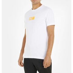 Calvin Klein Jeans T-särk meestele 8720108493154, valge цена и информация | Мужские футболки | kaup24.ee