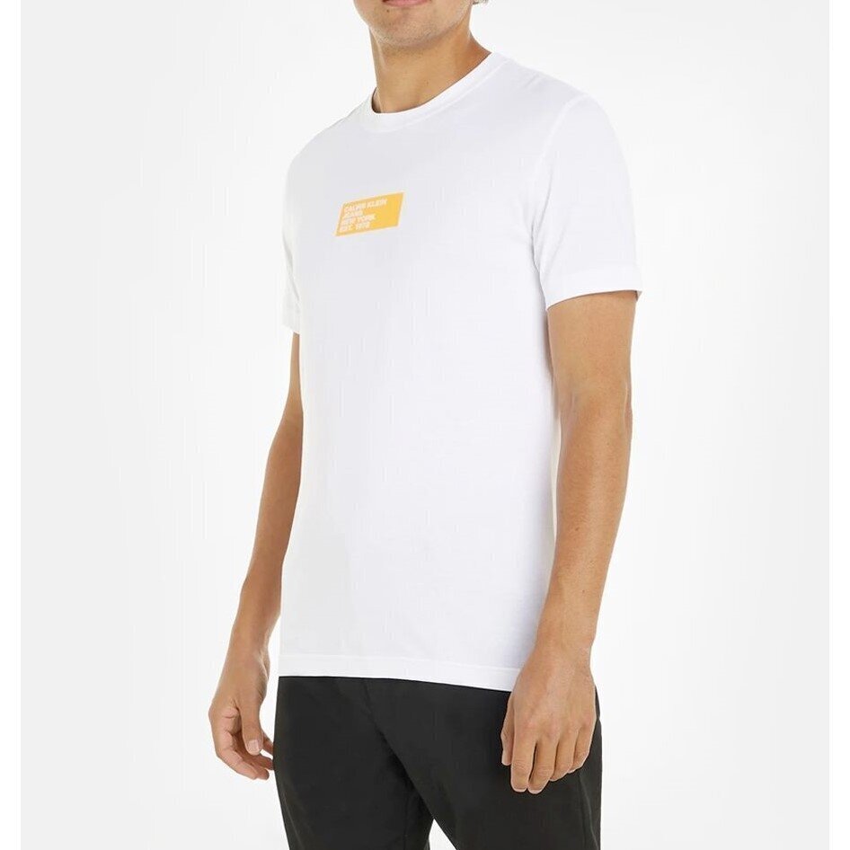 Calvin Klein Jeans T-särk meestele 8720108493154, valge цена и информация | Meeste T-särgid | kaup24.ee