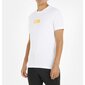 Calvin Klein Jeans T-särk meestele 8720108493154, valge цена и информация | Meeste T-särgid | kaup24.ee