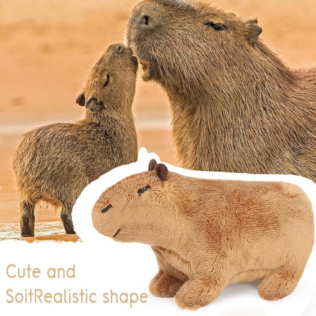 Capybara pluusist mänguasi 30cm, pruun hind ja info | Pehmed mänguasjad | kaup24.ee