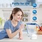 Waterdrop Brita Maxtra+ veefiltri kassett, 8 tk цена и информация | Filterkannud ja filtrid | kaup24.ee