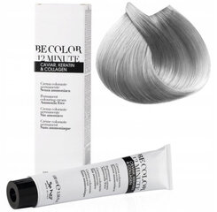 Be Hair 12 Minute Corrector Silver 100 ml hind ja info | Juuksevärvid | kaup24.ee