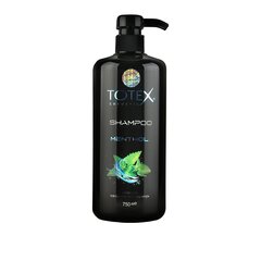 Šampoon Totex Menthol Oily Hair Shampoo, 750ml цена и информация | Шампуни | kaup24.ee