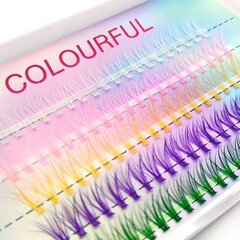 Liimitavad ripsmetušid klasterites Colourful, 10 - 12 mm hind ja info | Kunstripsmed, ripsmekoolutajad | kaup24.ee