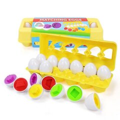 Игра в форме яйца Sferazabawek цена и информация | Развивающие игрушки | kaup24.ee