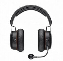 Beyerdynamic MMX 200 (730084) цена и информация | Наушники | kaup24.ee